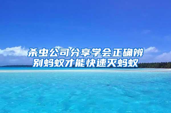 殺蟲公司分享學會正確辨別螞蟻才能快速滅螞蟻