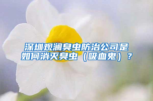 深圳觀瀾臭蟲防治公司是如何消滅臭蟲（吸血鬼）？