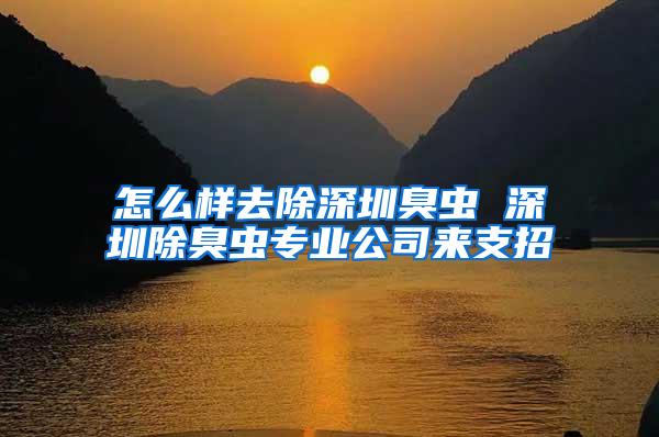 怎么樣去除深圳臭蟲 深圳除臭蟲專業公司來支招