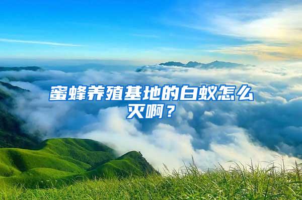 蜜蜂養(yǎng)殖基地的白蟻怎么滅啊？