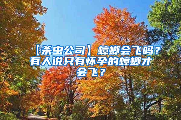 【殺蟲公司】蟑螂會飛嗎？有人說只有懷孕的蟑螂才會飛？