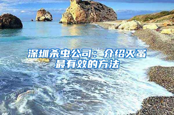 深圳殺蟲公司：介紹滅蚤最有效的方法