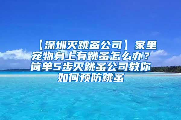 【深圳滅跳蚤公司】家里寵物身上有跳蚤怎么辦？簡單5步滅跳蚤公司教你如何預防跳蚤