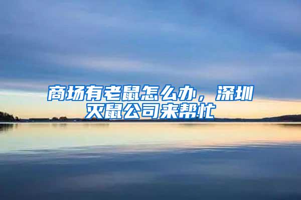 商場有老鼠怎么辦，深圳滅鼠公司來幫忙