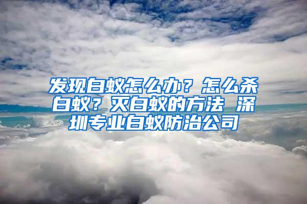 發現白蟻怎么辦？怎么殺白蟻？滅白蟻的方法 深圳專業白蟻防治公司