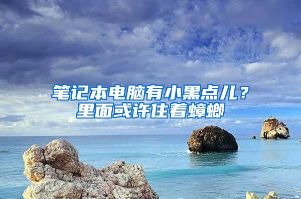 筆記本電腦有小黑點兒？里面或許住著蟑螂