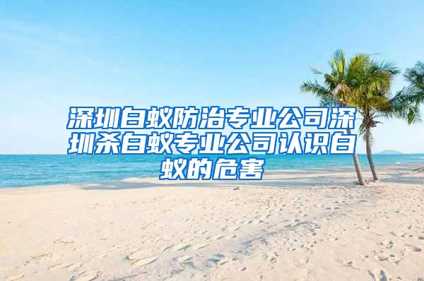 深圳白蟻防治專業公司深圳殺白蟻專業公司認識白蟻的危害