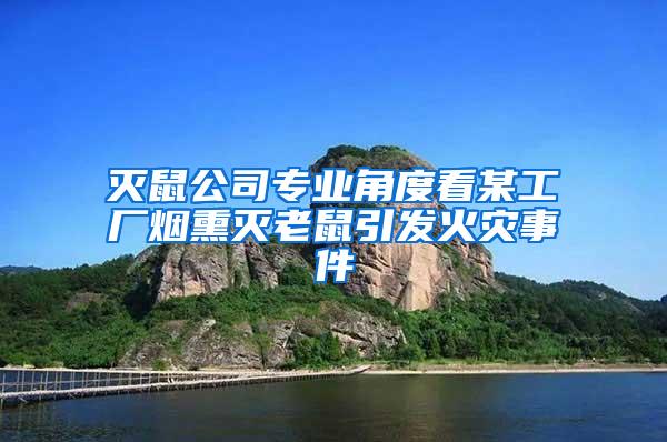 滅鼠公司專業角度看某工廠煙熏滅老鼠引發火災事件