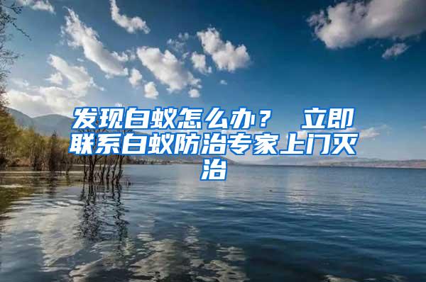 發現白蟻怎么辦？ 立即聯系白蟻防治專家上門滅治