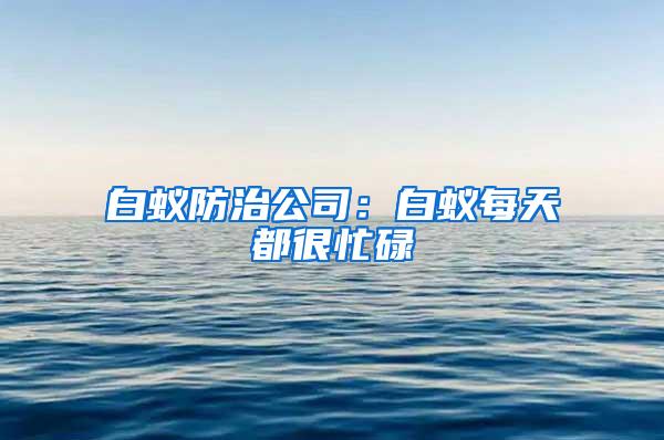 白蟻防治公司：白蟻每天都很忙碌