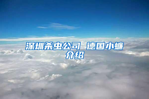 深圳殺蟲公司 德國小蠊介紹