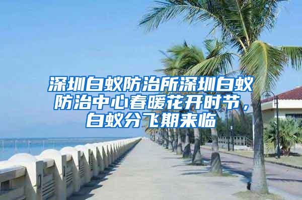 深圳白蟻防治所深圳白蟻防治中心春暖花開時節，白蟻分飛期來臨