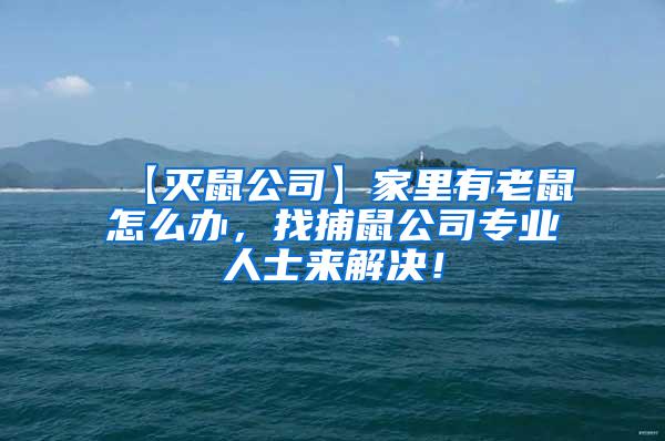 【滅鼠公司】家里有老鼠怎么辦，找捕鼠公司專業人士來解決！