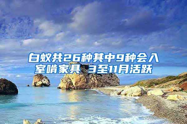 白蟻共26種其中9種會入室啃家具 3至11月活躍