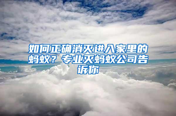 如何正確消滅進入家里的螞蟻？專業滅螞蟻公司告訴你