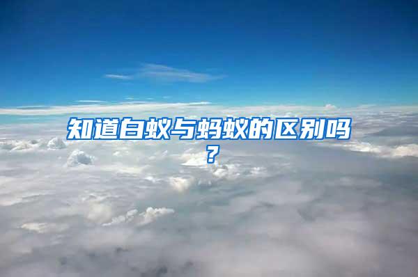 知道白蟻與螞蟻的區別嗎？