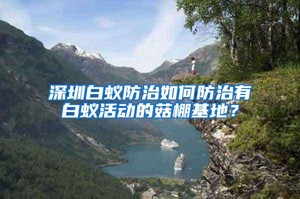 深圳白蟻防治如何防治有白蟻活動的菇棚基地？