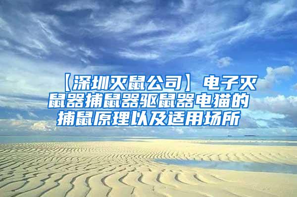 【深圳滅鼠公司】電子滅鼠器捕鼠器驅鼠器電貓的捕鼠原理以及適用場所