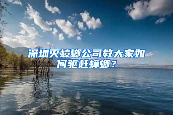 深圳滅蟑螂公司教大家如何驅(qū)趕蟑螂？