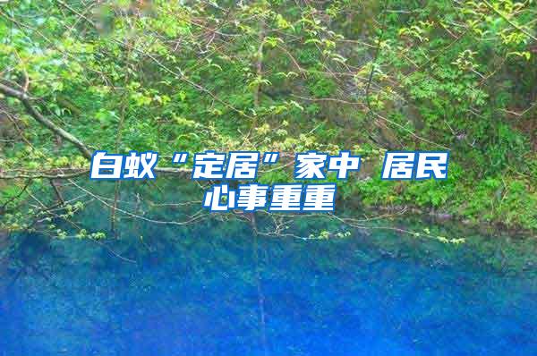 白蟻“定居”家中 居民心事重重