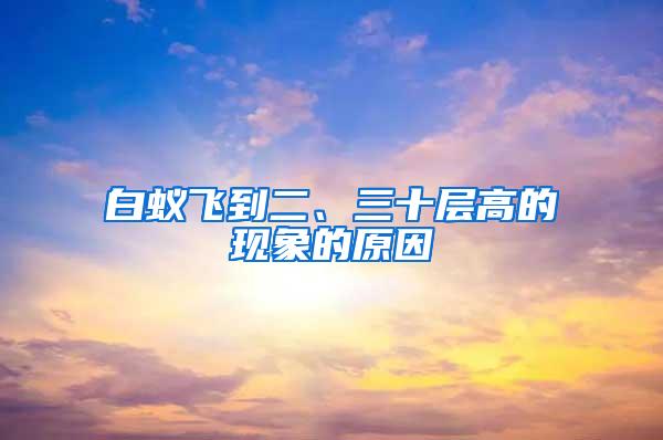 白蟻飛到二、三十層高的現象的原因