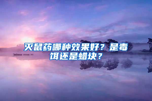 滅鼠藥哪種效果好？是毒餌還是蠟塊？