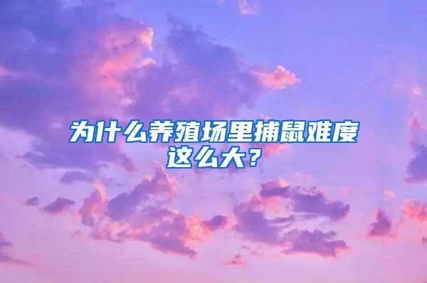 為什么養(yǎng)殖場里捕鼠難度這么大？