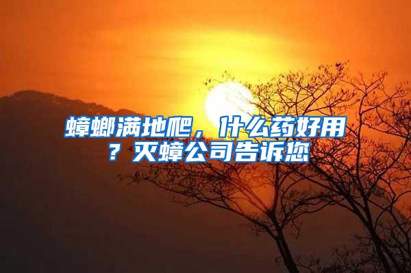 蟑螂滿地爬，什么藥好用？滅蟑公司告訴您