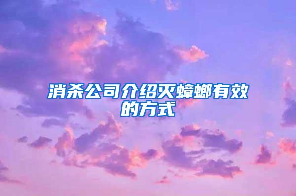 消殺公司介紹滅蟑螂有效的方式