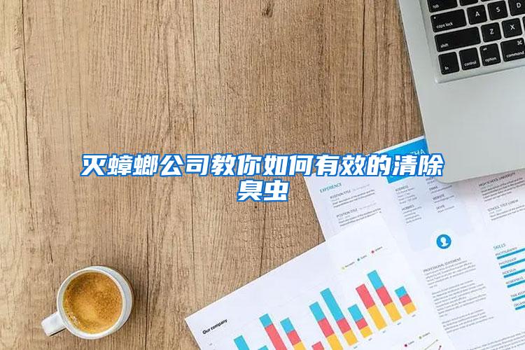 滅蟑螂公司教你如何有效的清除臭蟲