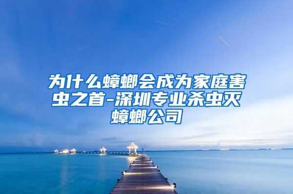 為什么蟑螂會成為家庭害蟲之首-深圳專業殺蟲滅蟑螂公司