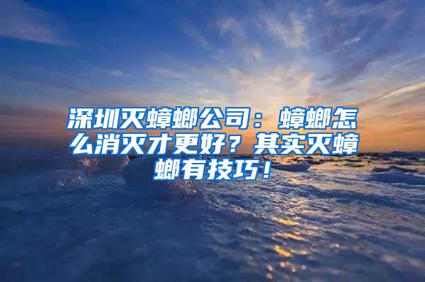 深圳滅蟑螂公司：蟑螂怎么消滅才更好？其實滅蟑螂有技巧！