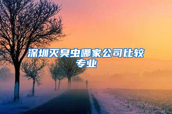 深圳滅臭蟲哪家公司比較專業