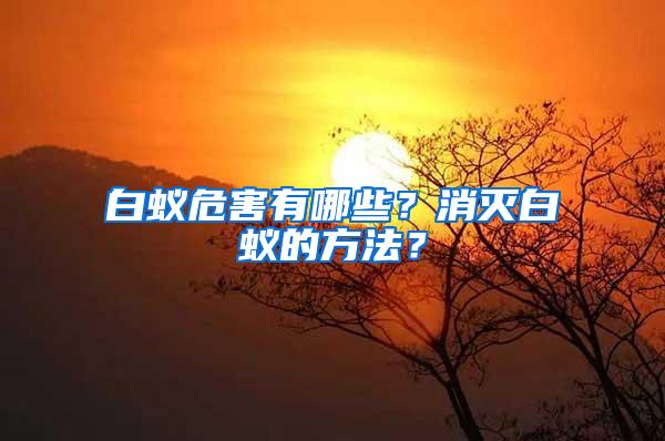 白蟻危害有哪些？消滅白蟻的方法？