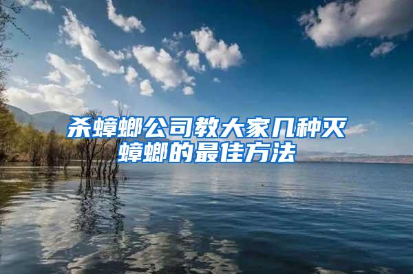 殺蟑螂公司教大家幾種滅蟑螂的最佳方法