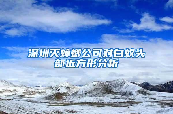 深圳滅蟑螂公司對白蟻頭部近方形分析