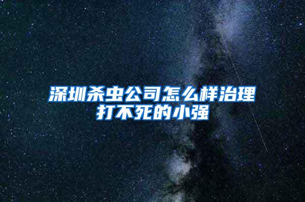 深圳殺蟲公司怎么樣治理打不死的小強