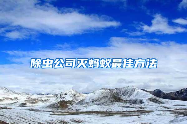 除蟲公司滅螞蟻最佳方法