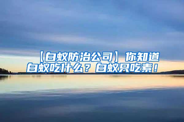 【白蟻防治公司】你知道白蟻吃什么？白蟻只吃素！