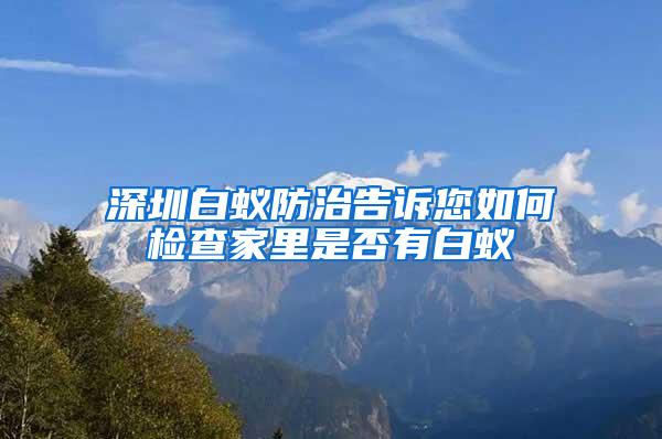 深圳白蟻防治告訴您如何檢查家里是否有白蟻