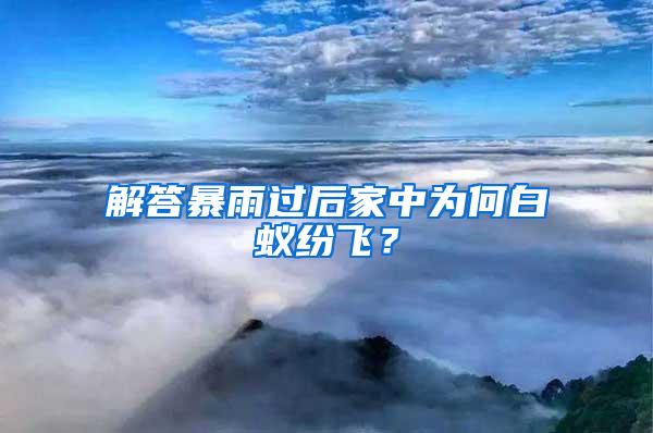 解答暴雨過后家中為何白蟻紛飛？