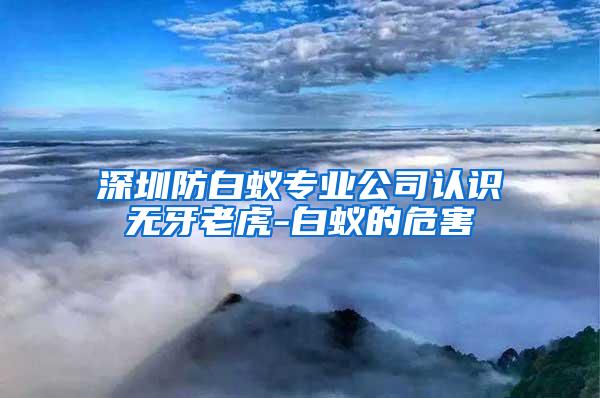 深圳防白蟻專業公司認識無牙老虎-白蟻的危害