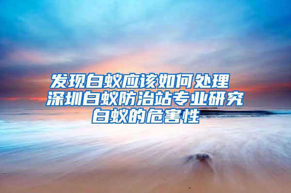 發現白蟻應該如何處理 深圳白蟻防治站專業研究白蟻的危害性