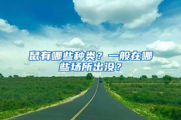 鼠有哪些種類(lèi)？一般在哪些場(chǎng)所出沒(méi)？