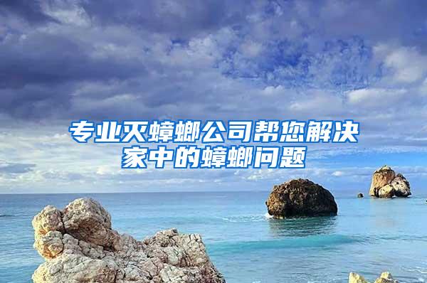 專業滅蟑螂公司幫您解決家中的蟑螂問題