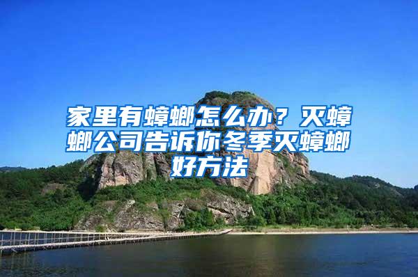 家里有蟑螂怎么辦？滅蟑螂公司告訴你冬季滅蟑螂好方法