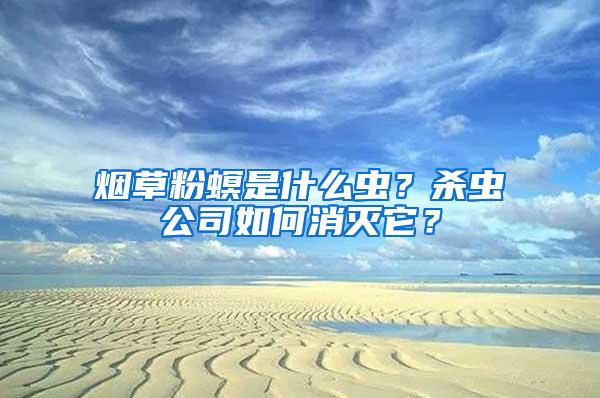 煙草粉螟是什么蟲？殺蟲公司如何消滅它？