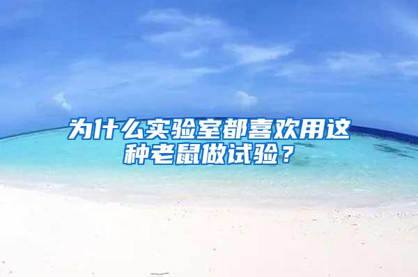 為什么實(shí)驗(yàn)室都喜歡用這種老鼠做試驗(yàn)？