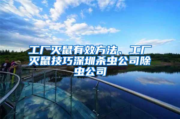 工廠滅鼠有效方法、工廠滅鼠技巧深圳殺蟲公司除蟲公司