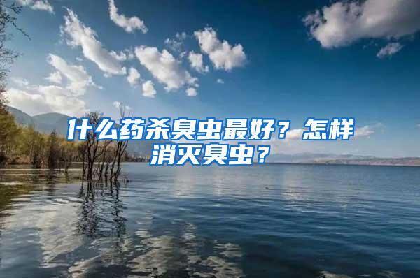 什么藥殺臭蟲最好？怎樣消滅臭蟲？